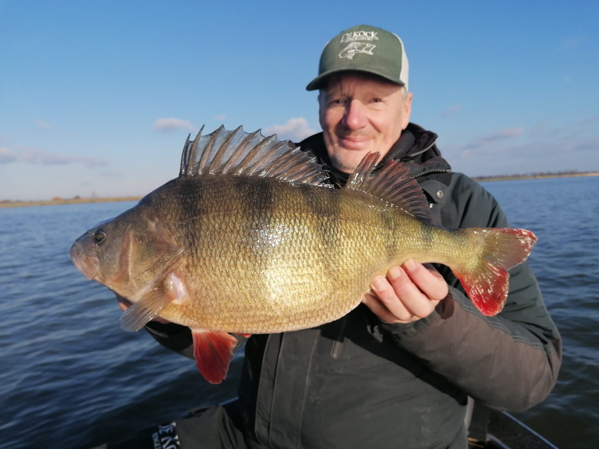 Baars 52 cm